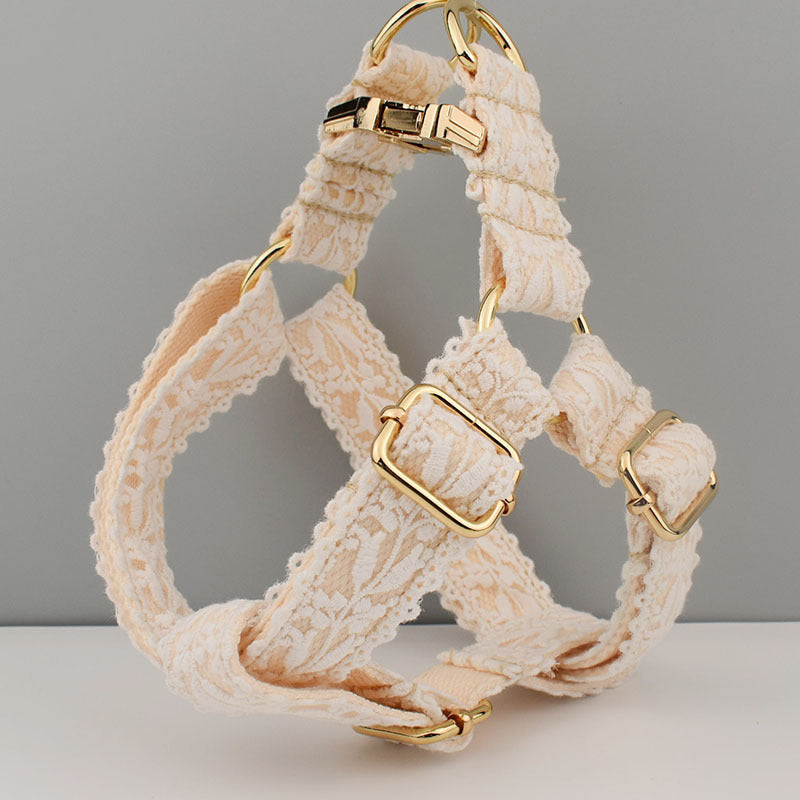 🐶✨ Fluffy Finds Presents: Leaf Lace Strap Gold Buckle Pet Supplies