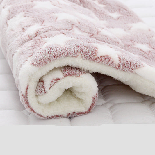 🐶✨ Fluffy Finds Presents: Thickened Blanket for Cats And Dogs