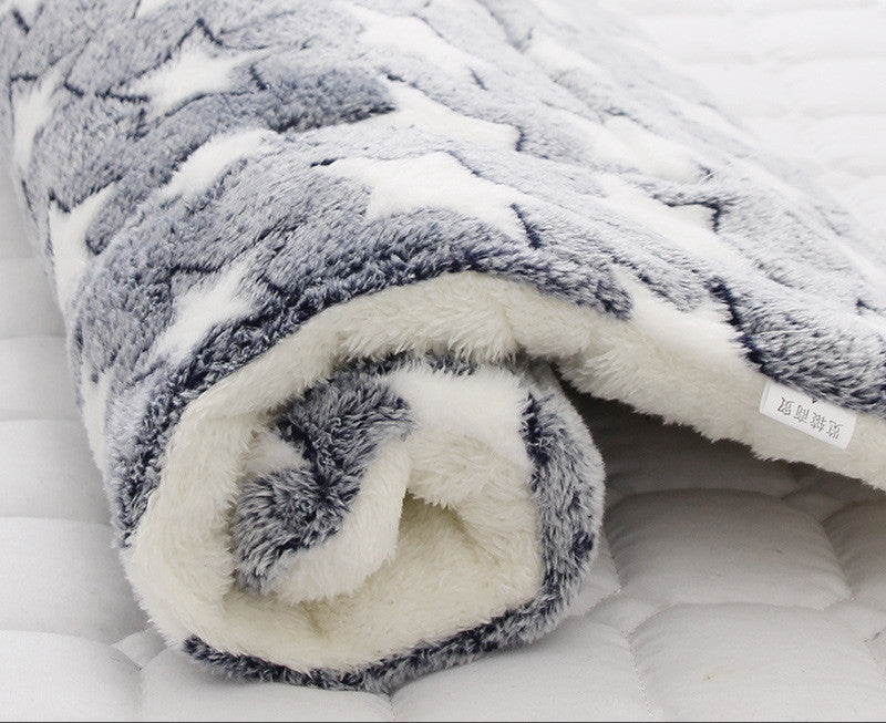 🐶✨ Fluffy Finds Presents: Thickened Blanket for Cats And Dogs