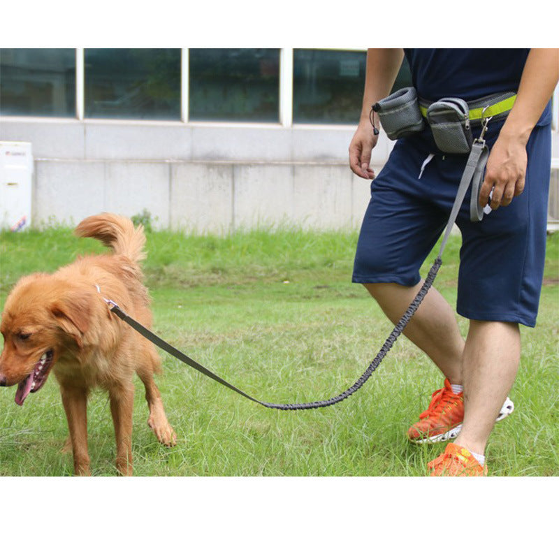 🐶✨ Fluffy Finds Presents: Pets Adjustable Hands Free Dog Leash