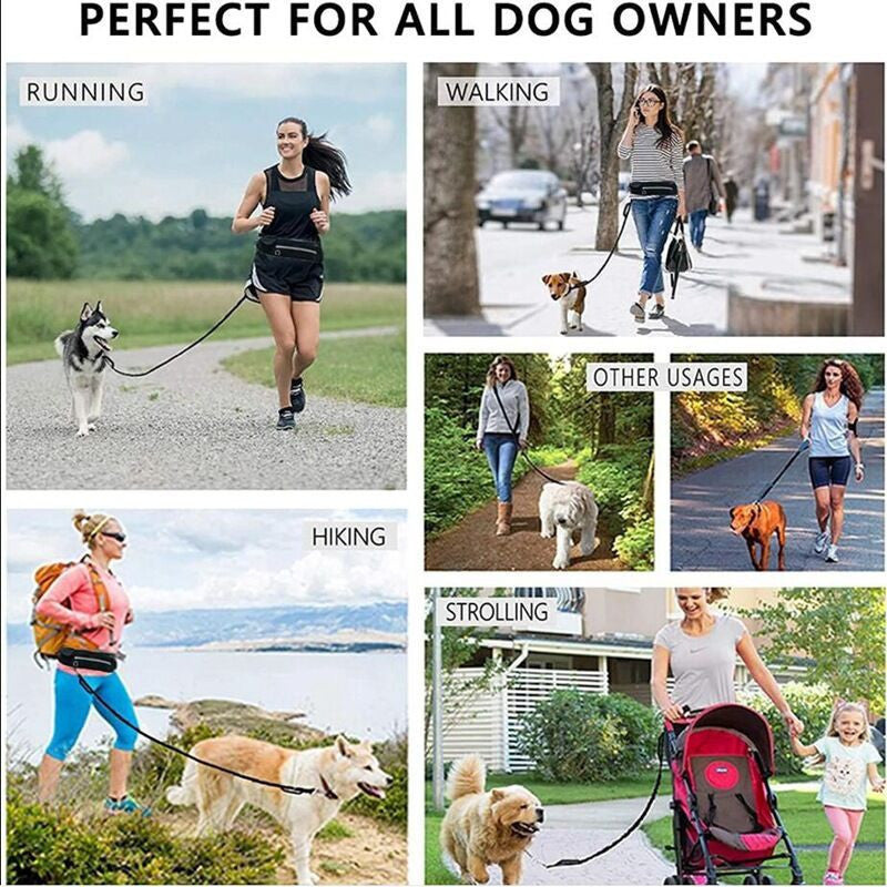 🐶✨ Fluffy Finds Presents: Pet Purse Leash For Dog Walking