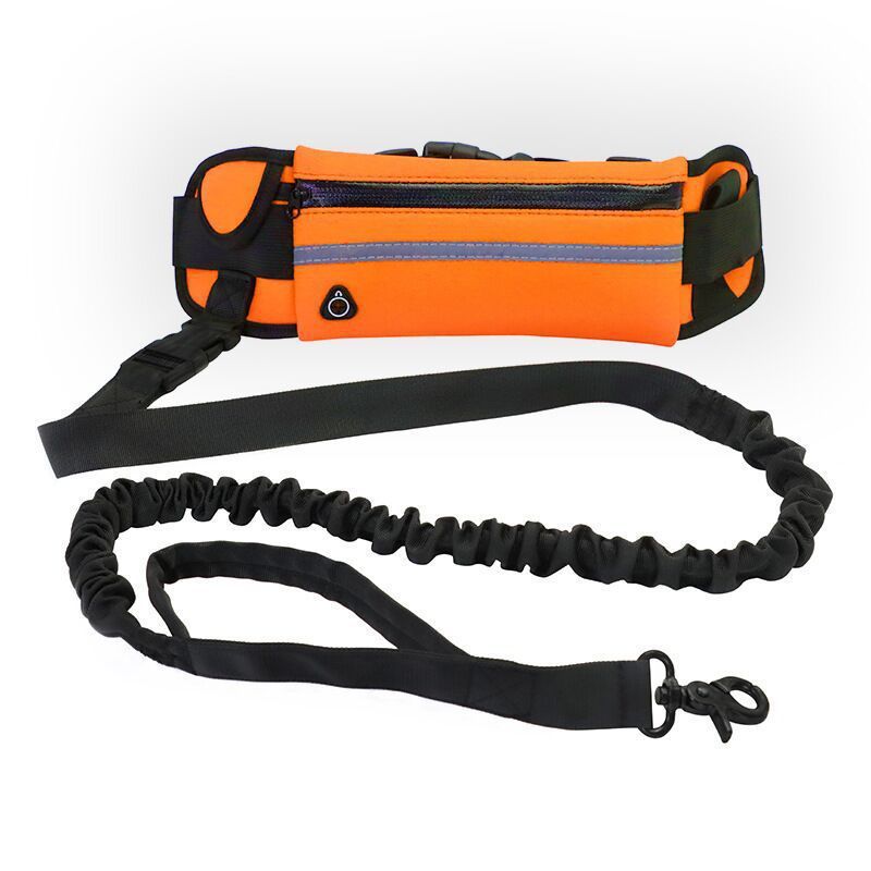 🐶✨ Fluffy Finds Presents: Pet Purse Leash For Dog Walking