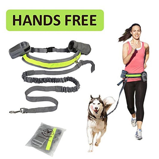 🐶✨ Fluffy Finds Presents: Pets Adjustable Hands Free Dog Leash