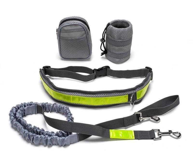 🐶✨ Fluffy Finds Presents: Pets Adjustable Hands Free Dog Leash