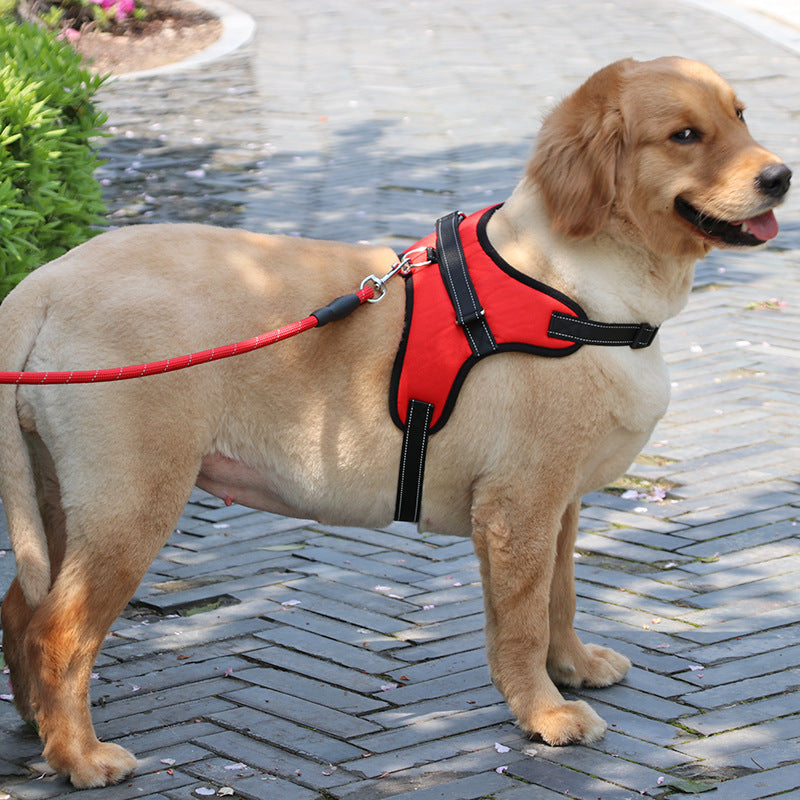 🐶✨ Fluffy Finds Presents: New Nylon Medium Large Dog Harness Collar