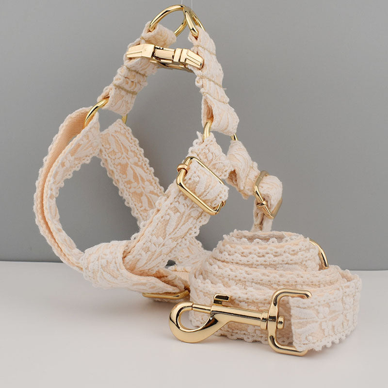 🐶✨ Fluffy Finds Presents: Leaf Lace Strap Gold Buckle Pet Supplies