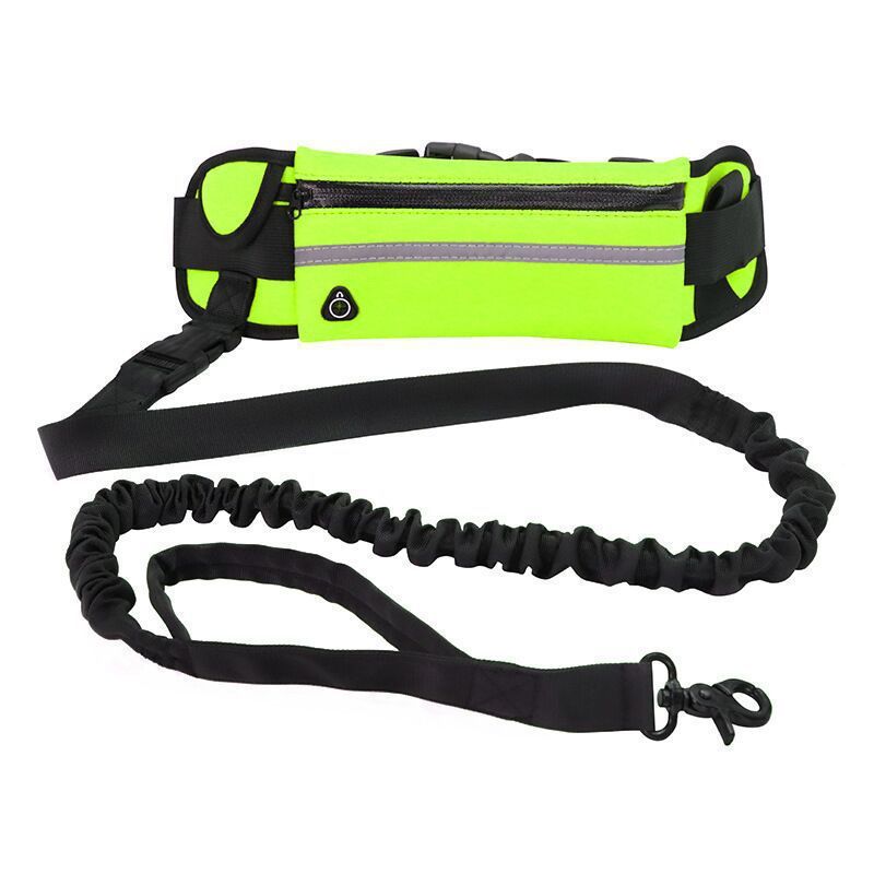🐶✨ Fluffy Finds Presents: Pet Purse Leash For Dog Walking