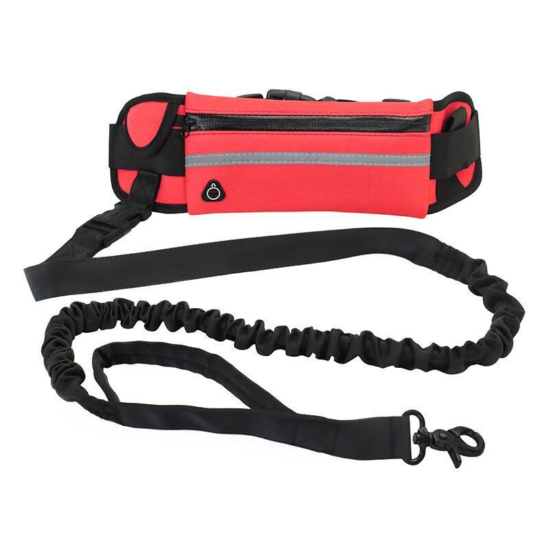 🐶✨ Fluffy Finds Presents: Pet Purse Leash For Dog Walking