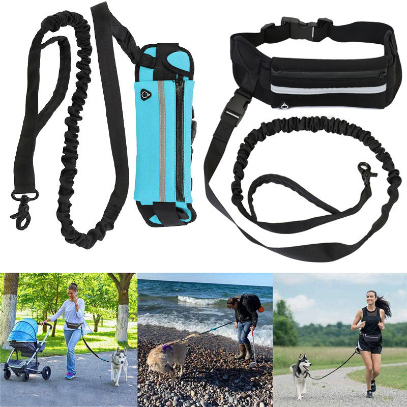 🐶✨ Fluffy Finds Presents: Pet Purse Leash For Dog Walking