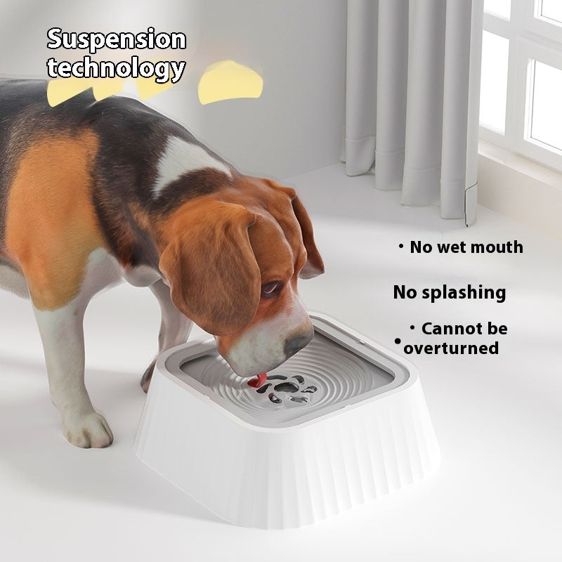 🐶✨ Fluffy Finds Presents: Pets Floating Bowl Water Drinker