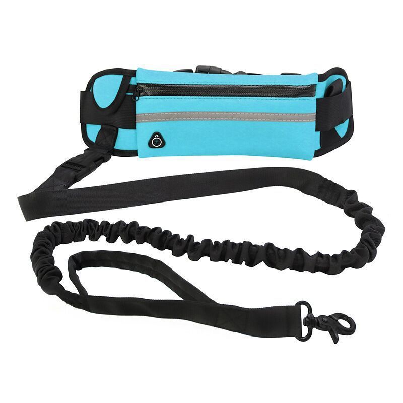 🐶✨ Fluffy Finds Presents: Pet Purse Leash For Dog Walking