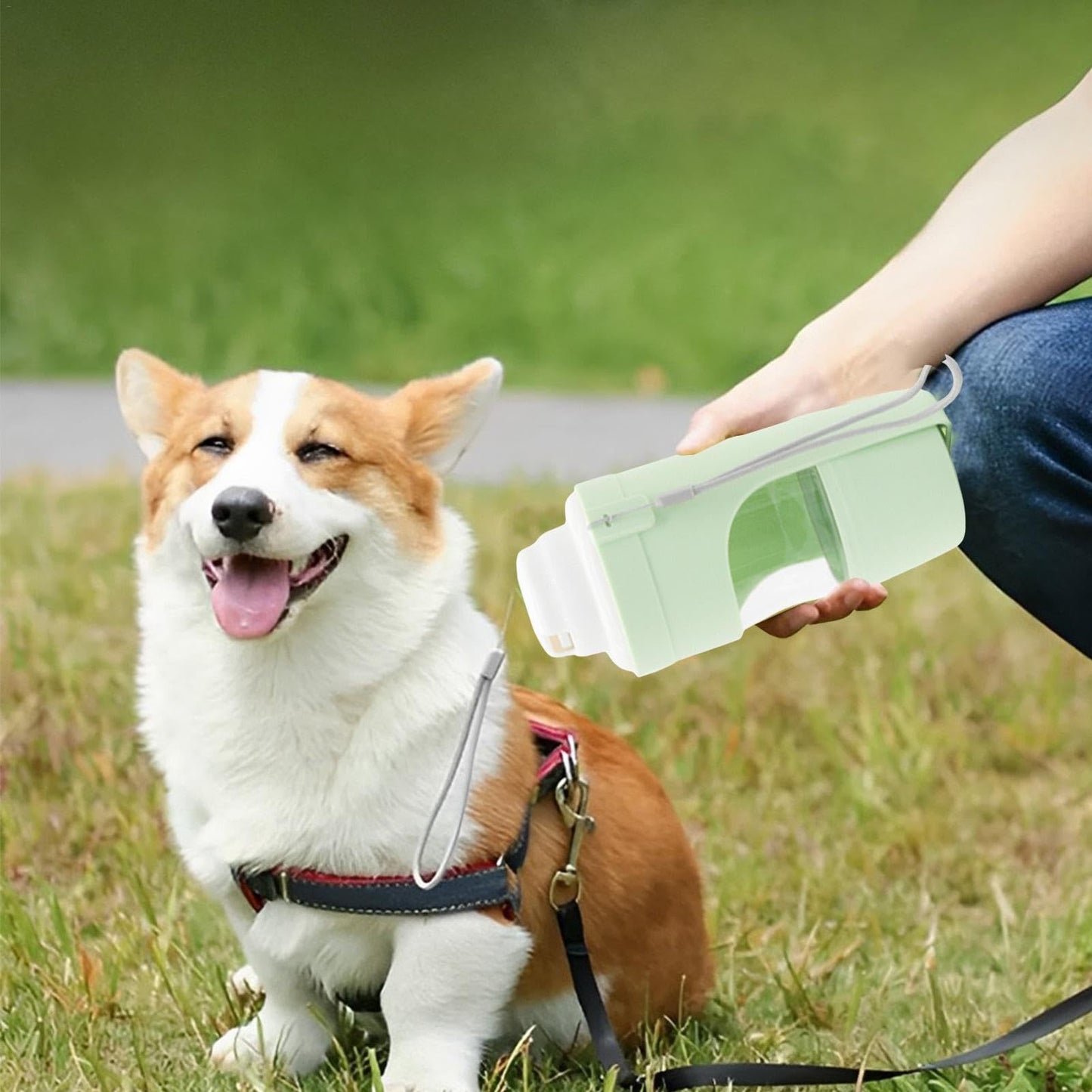 🐶✨ Fluffy Finds Presents: Pet 2 In 1 Travel Dog Water Bottle