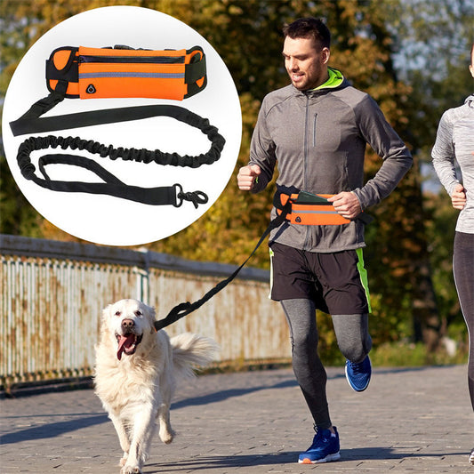 🐶✨ Fluffy Finds Presents: Pet Purse Leash For Dog Walking