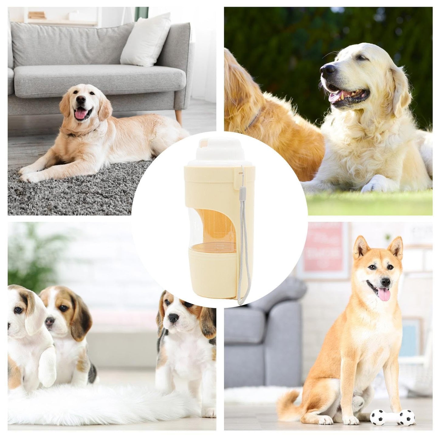 🐶✨ Fluffy Finds Presents: Pet 2 In 1 Travel Dog Water Bottle